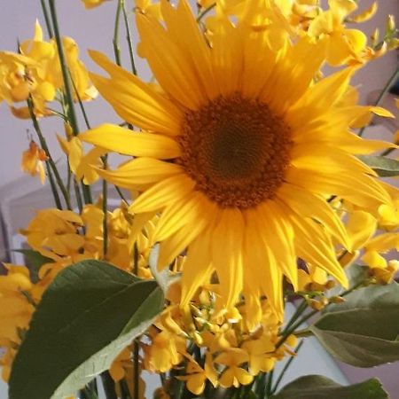 Il Girasole Del Lago Piediluco Kültér fotó