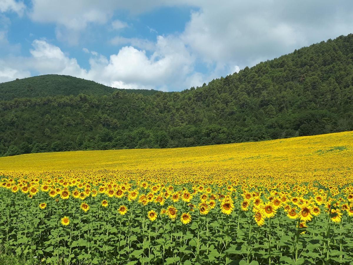 Il Girasole Del Lago Piediluco Kültér fotó